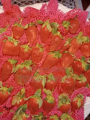 Strawberries for Sale
