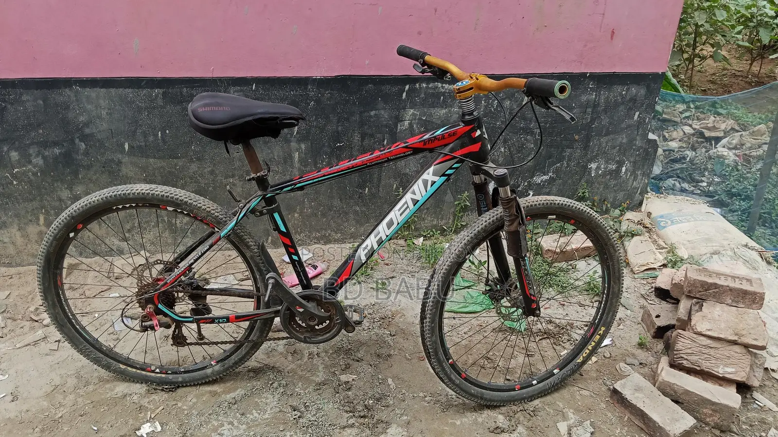 Phoenix Cycle