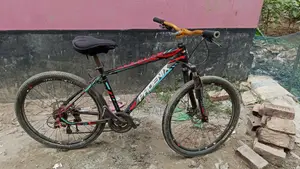 Phoenix Cycle
