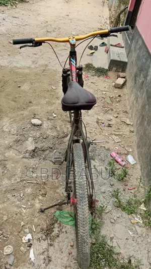 Phoenix Cycle