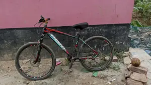 Phoenix Cycle