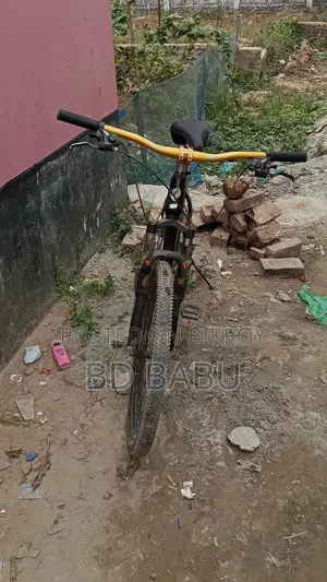 Phoenix Cycle