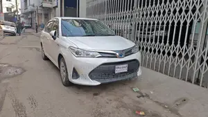 Toyota Axio PUSH 2020