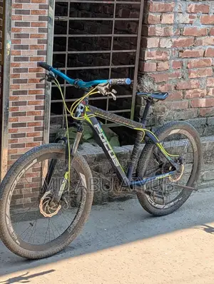 Focus Cycle.