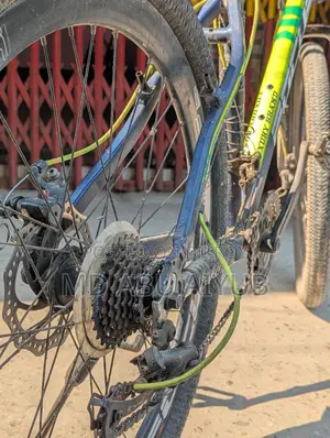 Focus Cycle.