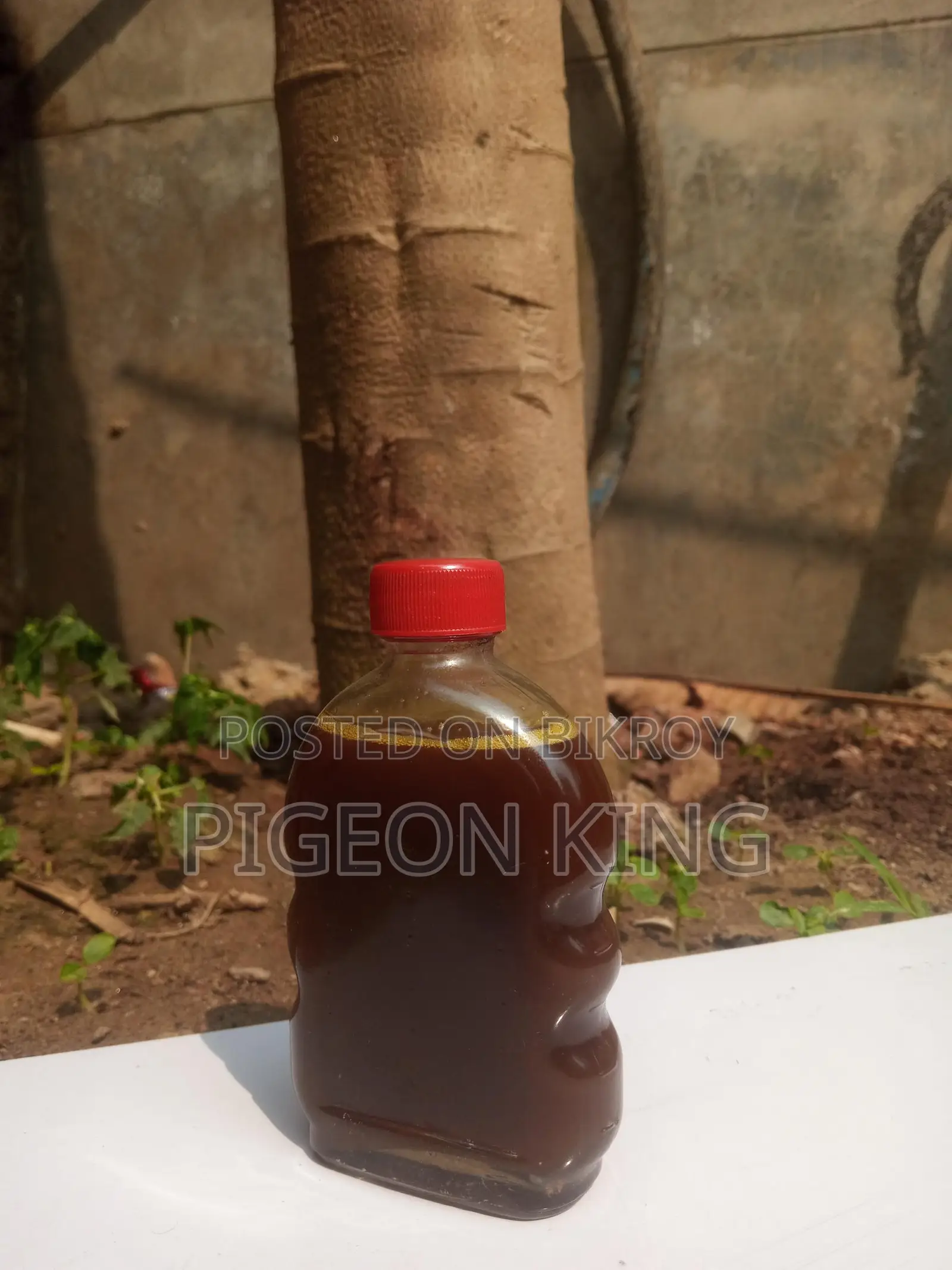Bone-healing massage oil