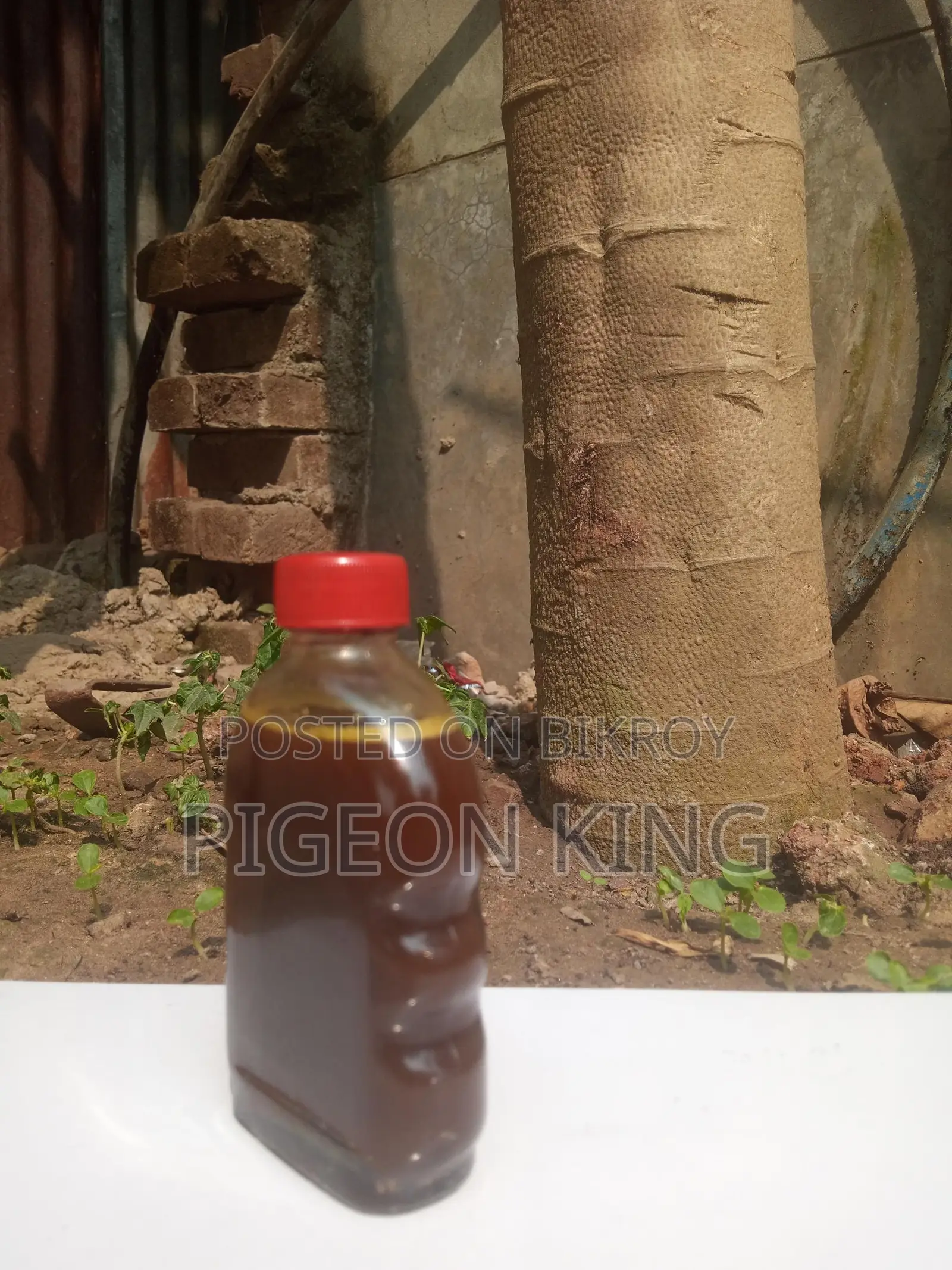 Bone-healing massage oil