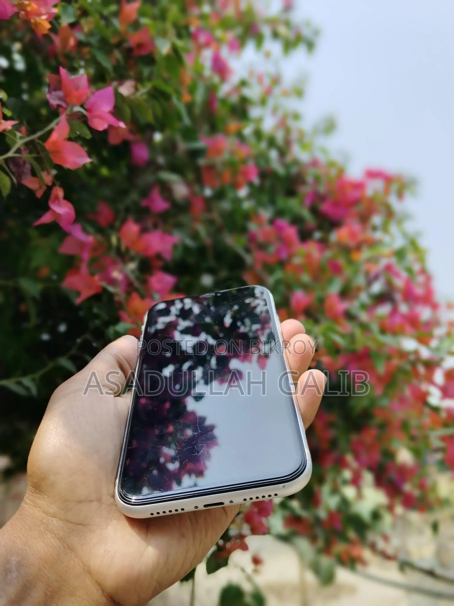 Apple iPhone 11 128 GB (Used)
