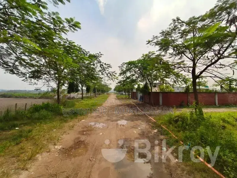 Make Your Dream Come True, Plots Near Dhaka