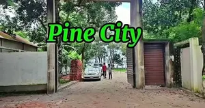 জমিতে নিশ্চিন্তে বিনিয়োগ করুন ,পাইন সিটি।