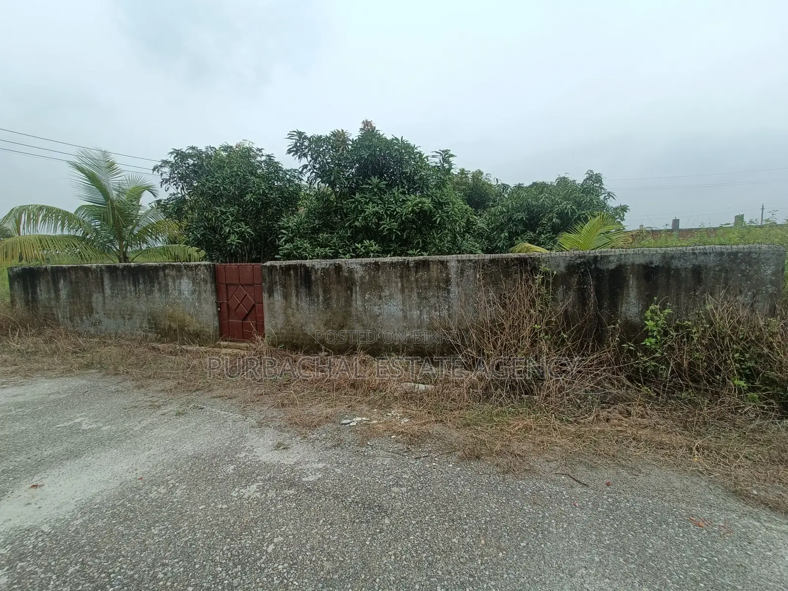 Near 75ft, East Facing, 3 Katha Plot In Sec#9