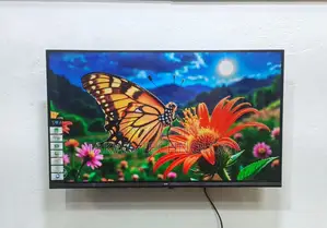 Eco+ 32-inch Android Frameless Voice Control TV