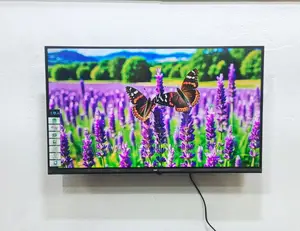 Eco+ 32-inch Android Frameless Voice Control TV
