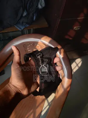 বিড়ালের বেল্ট