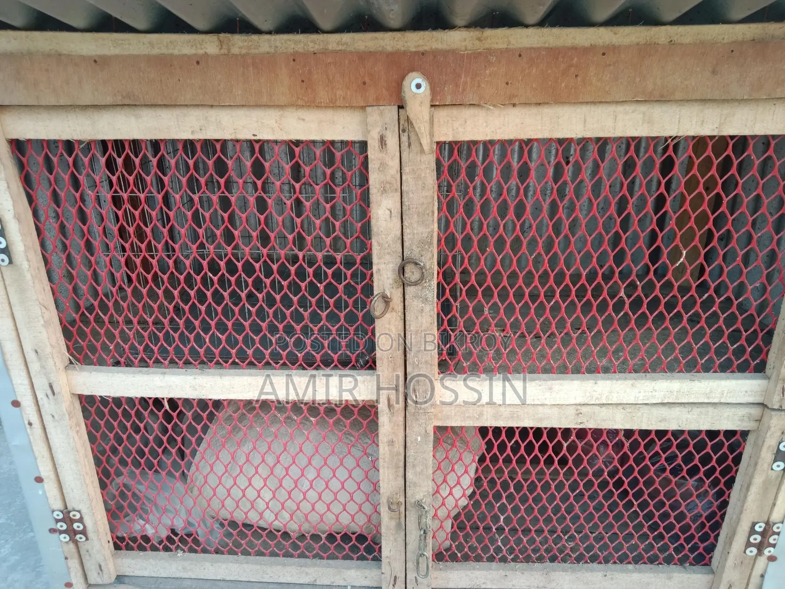 খাচাটি বিক্রি করা হবে