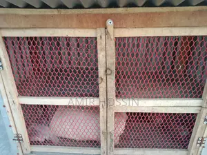 খাচাটি বিক্রি করা হবে