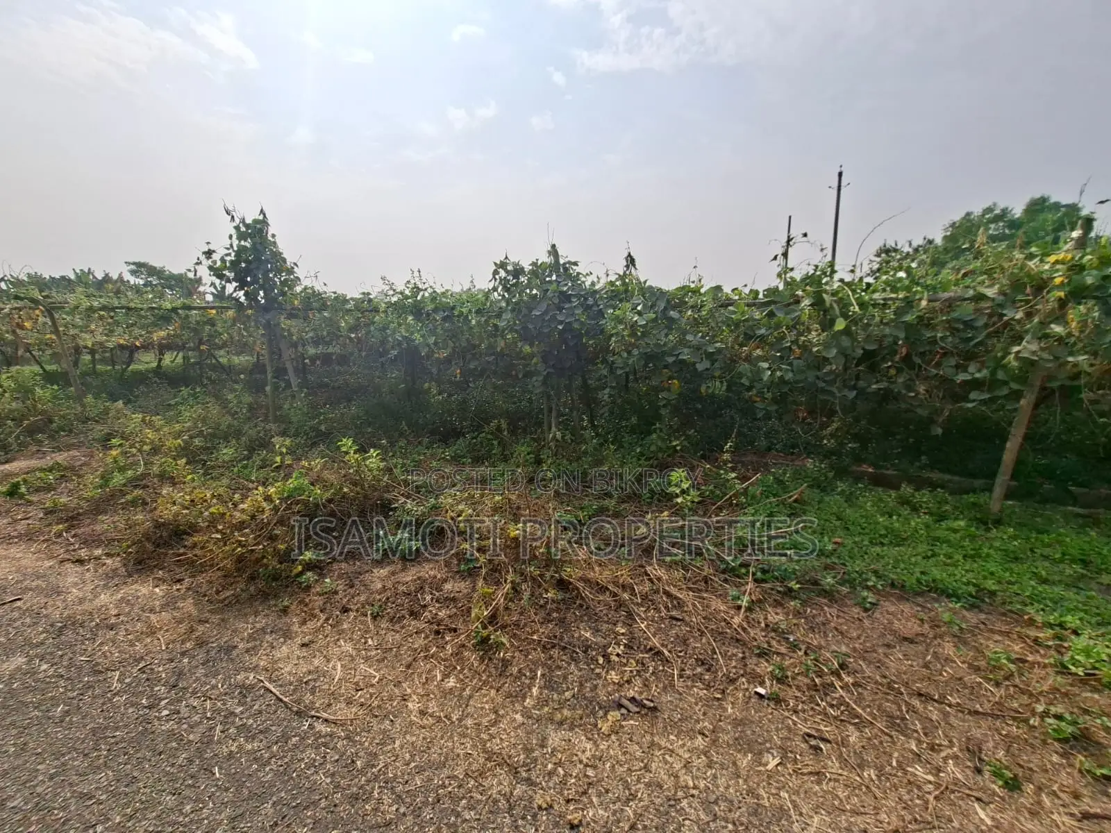 Affordable 5 Katha Plot For Sale At Purbachal