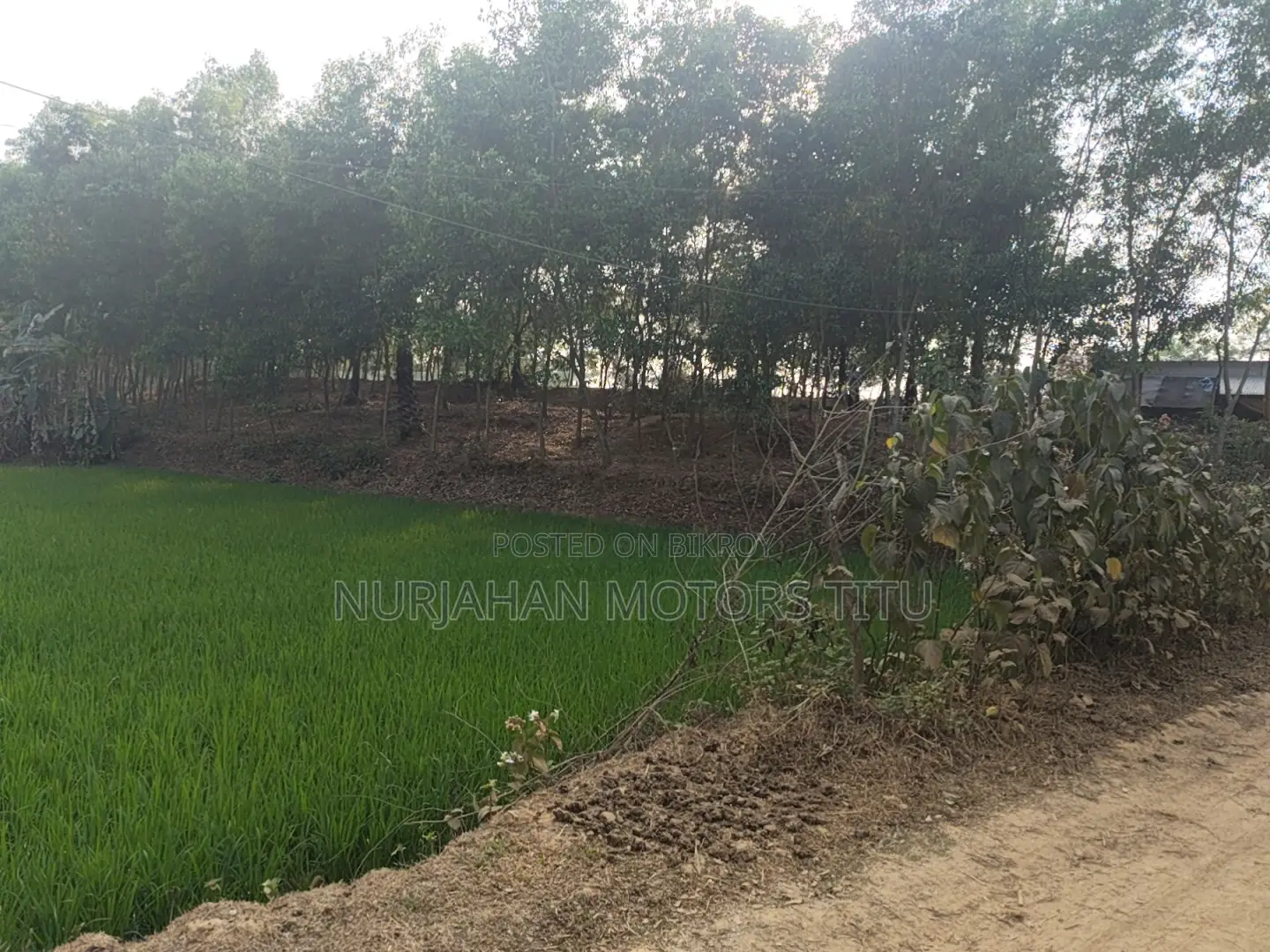 Land for Sale