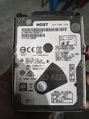 Hgst 500 GB