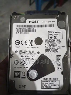Hgst 500 GB
