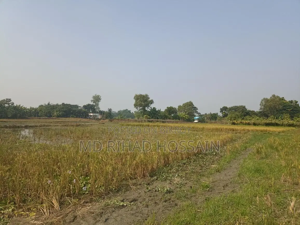 Land for Sale