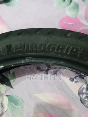 Eurogrip Tyre