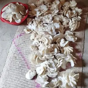 Raw Mushrooms