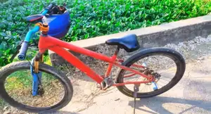 স্টান্ট সাইকেল Durt Frame করা