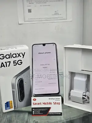Samsung Galaxy A17 intact 6/128 (Used)
