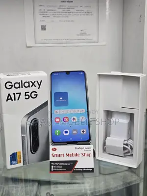 Samsung Galaxy A17 intact 6/128 (Used)