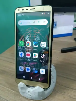 Walton Primo D10 (Used)