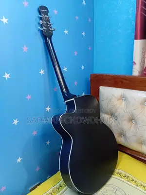 Signature Model Topaz Loud Series 265 String
