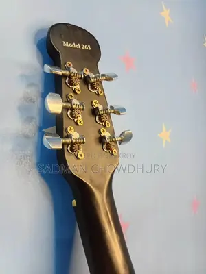 Signature Model Topaz Loud Series 265 String