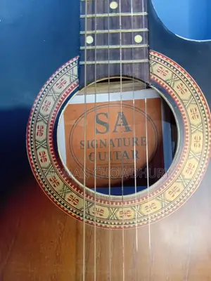 Signature Model Topaz Loud Series 265 String