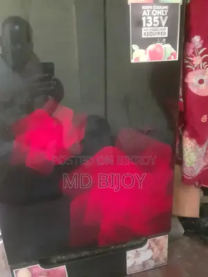 Singer Fridge