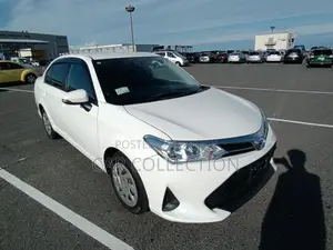 Toyota Axio Ex 2020
