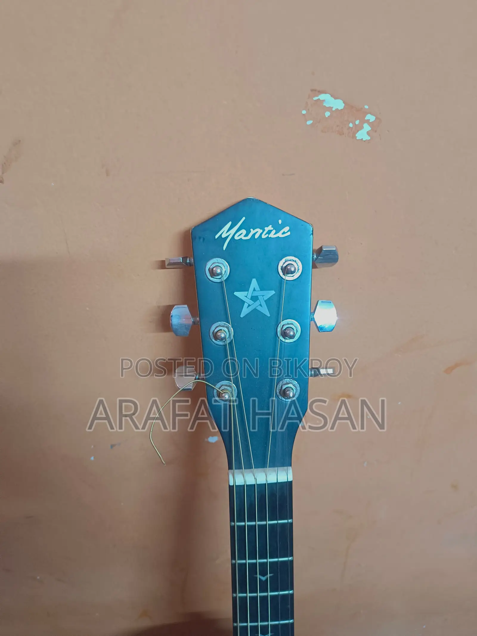 Acoustic Guitar