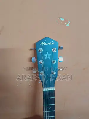 Acoustic Guitar