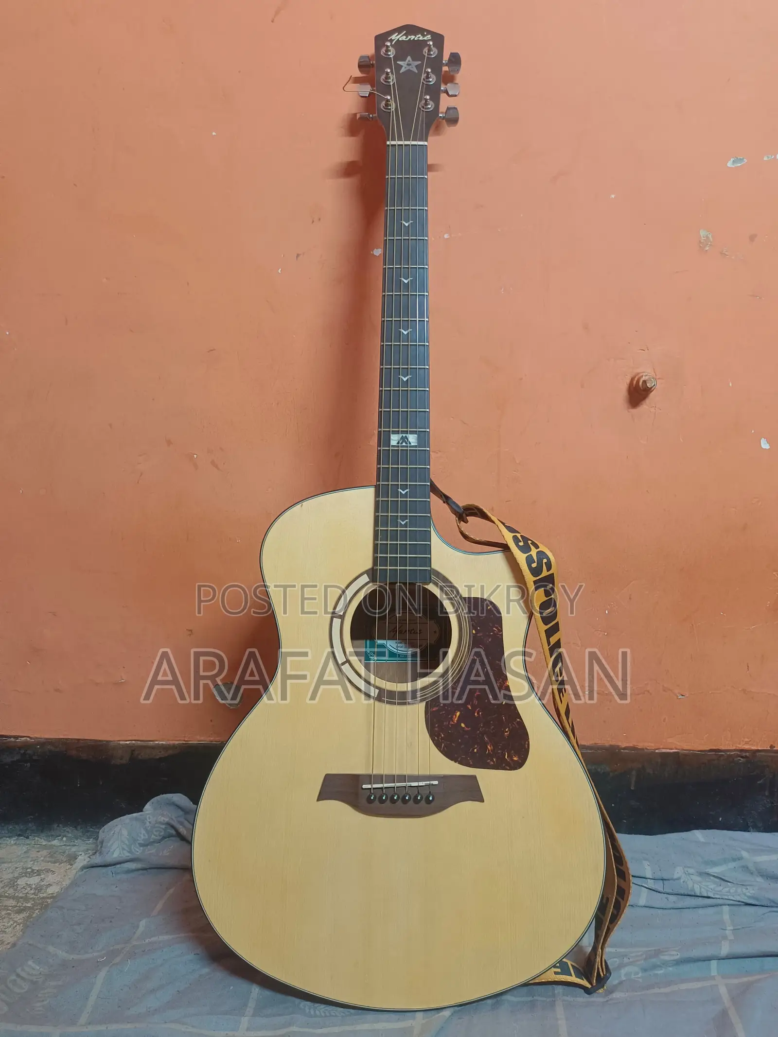 Acoustic Guitar