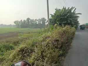 কম্পানির জন্য জমি বিক্রি