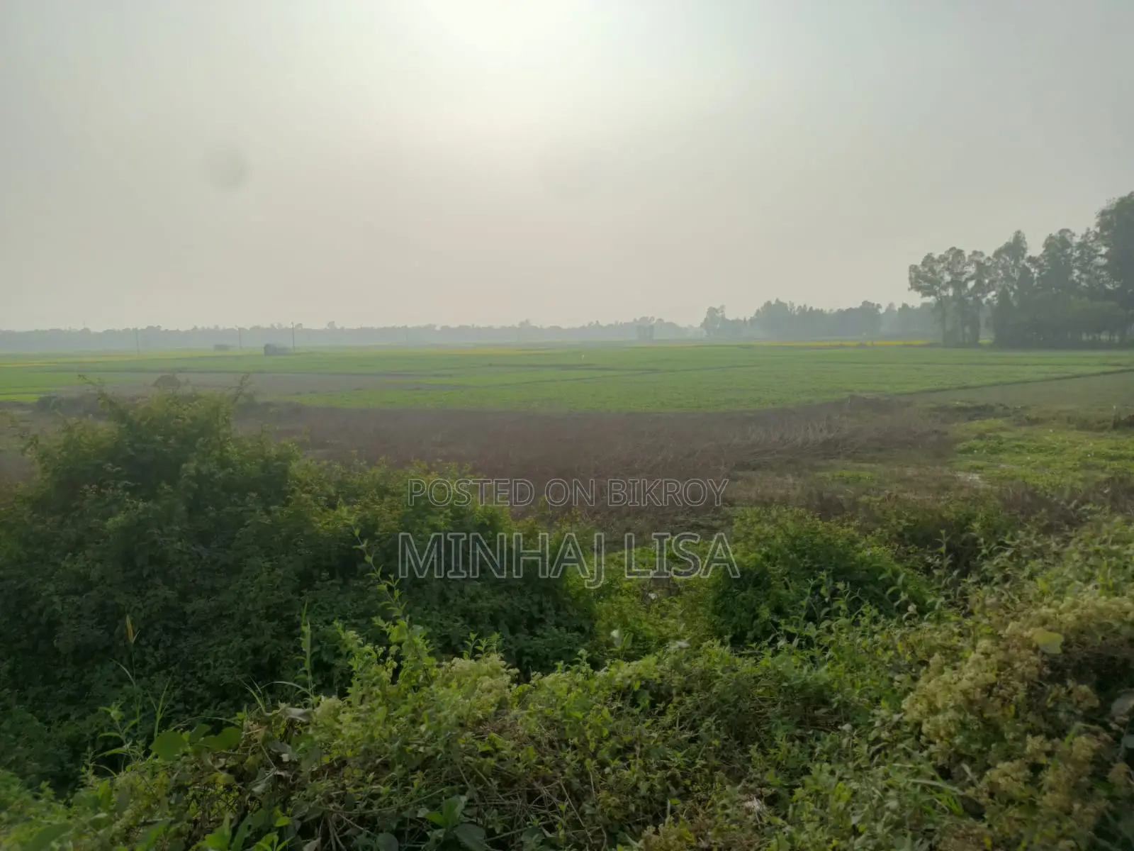 Land for Sale for Corporate Use