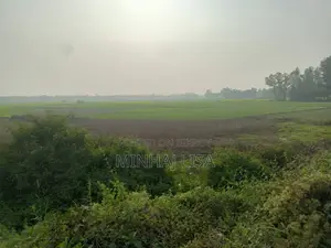 Land for Sale for Corporate Use