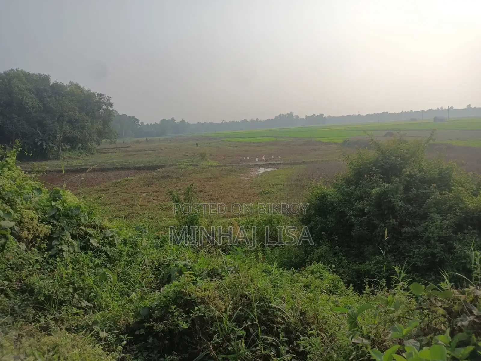 Land for Sale for Corporate Use