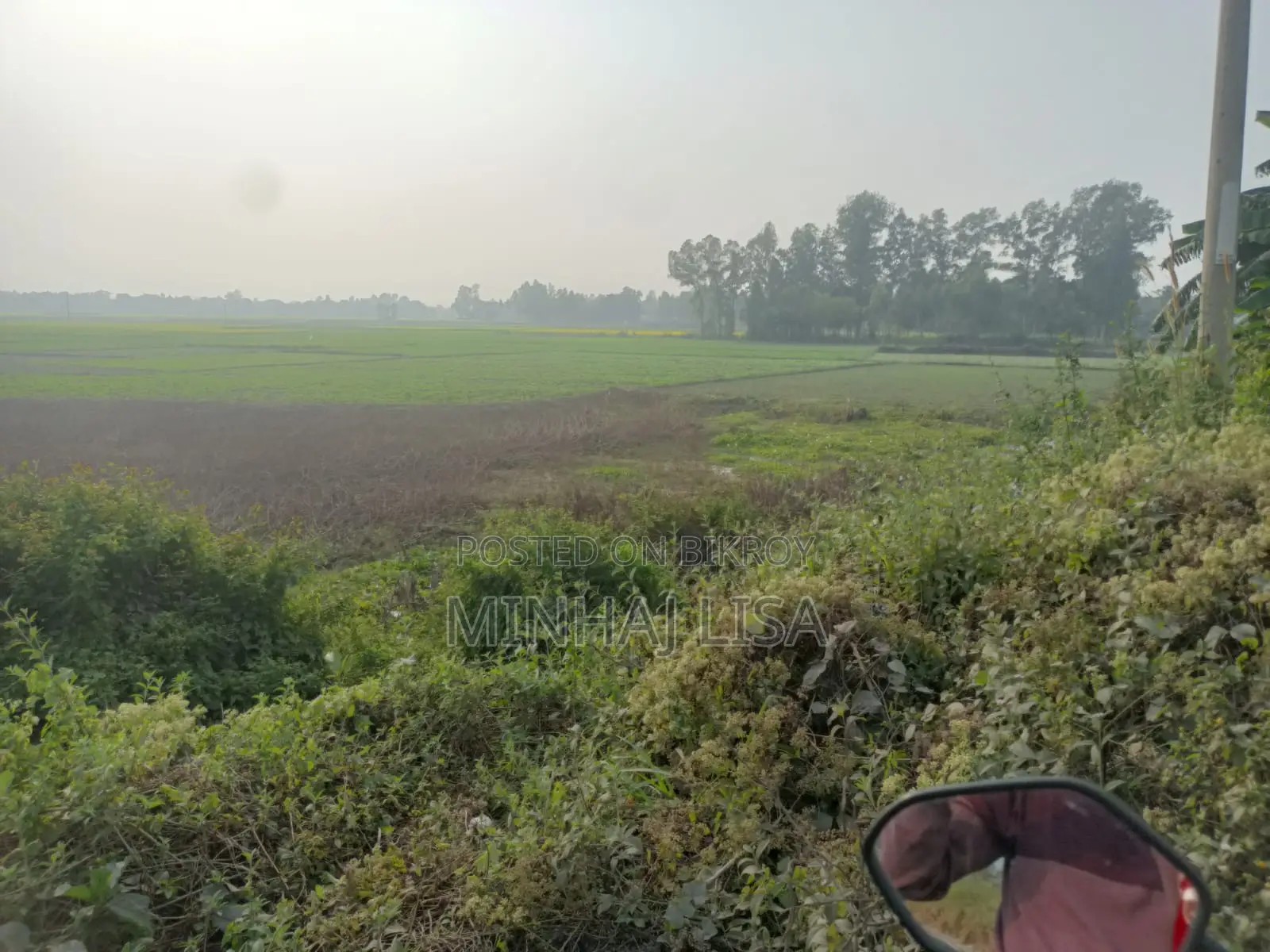 Land for Sale for Corporate Use