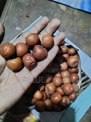 পাকা বড়ই