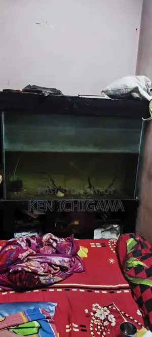 4 Feet Aquarium with Stand