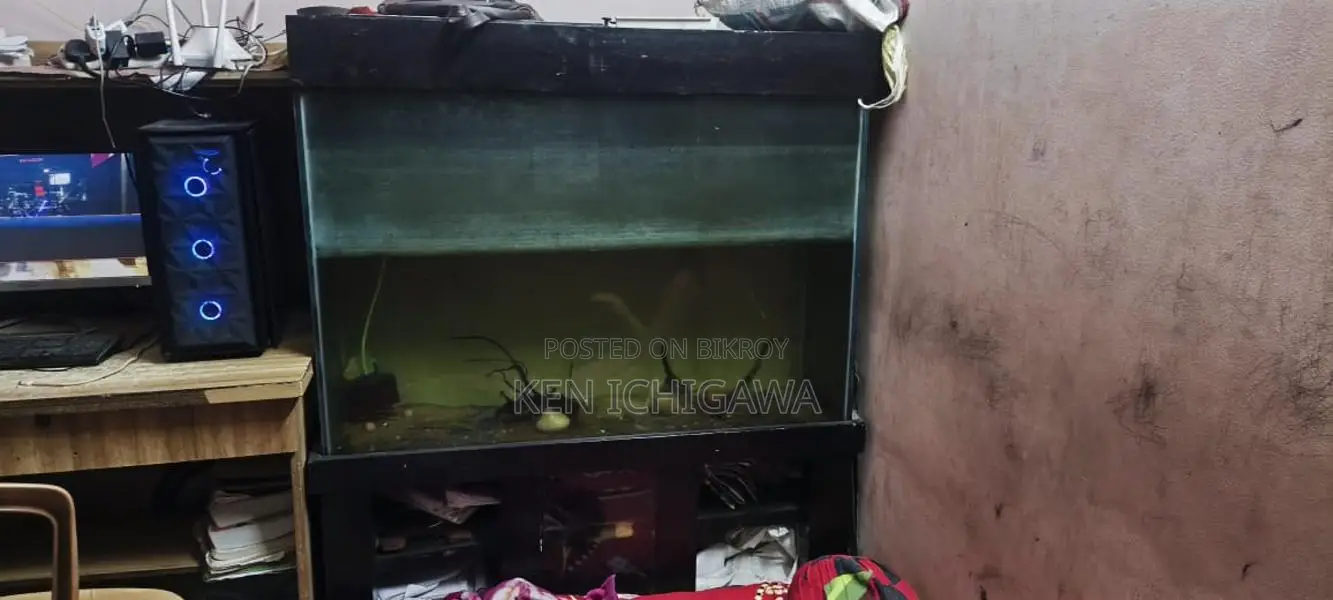 4 Feet Aquarium with Stand