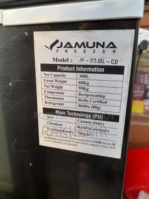 Energy-Efficient Jamuna 300L Smart Deep Freezer