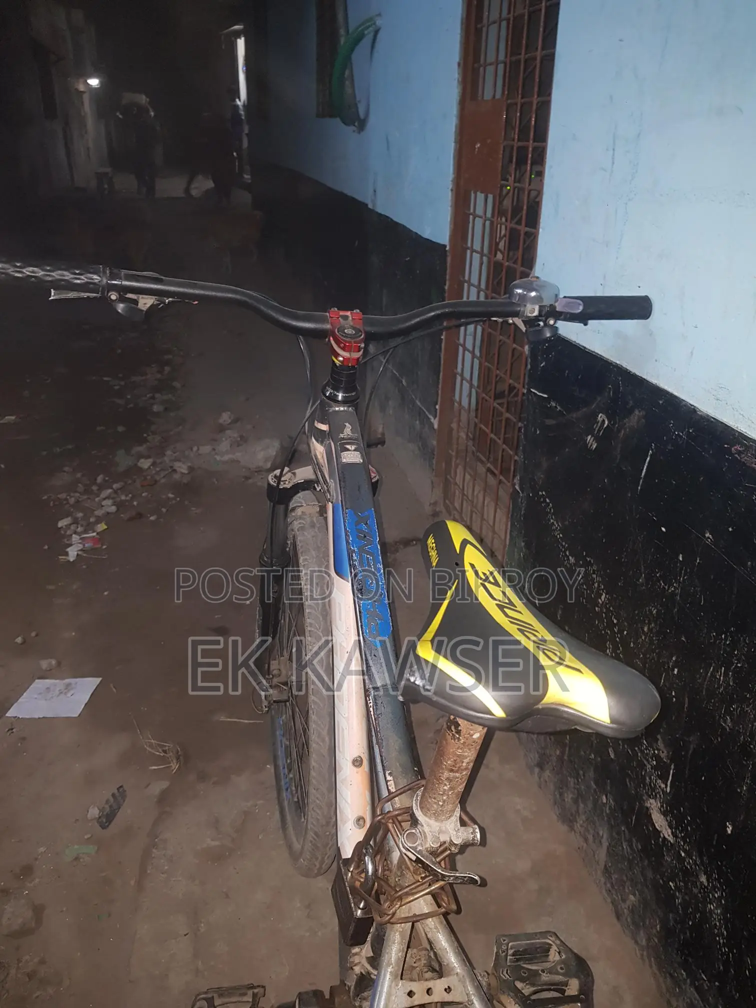 Phoenix Bicycle for Sale
