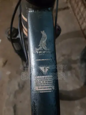 Phoenix Bicycle for Sale